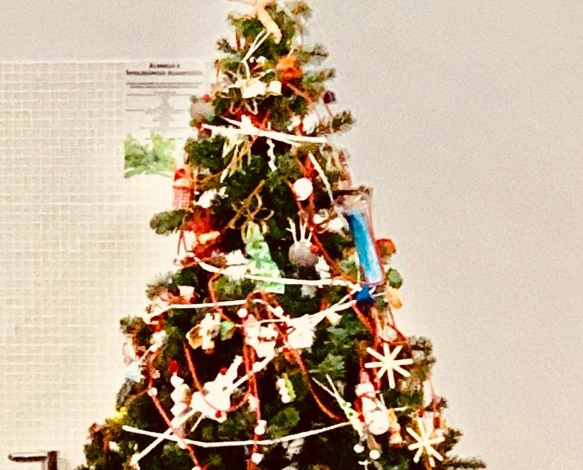 Já enfeitamos a nossa Árvore de Natal 2019