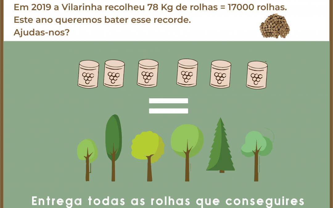Recolha de rolhas de cortiça na Vilarinha