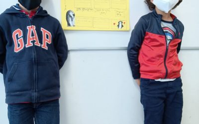 Os animais do 2º A