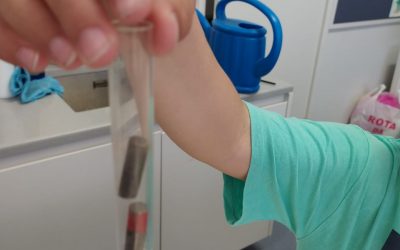 Experiências: Ímanes e Magnetismo