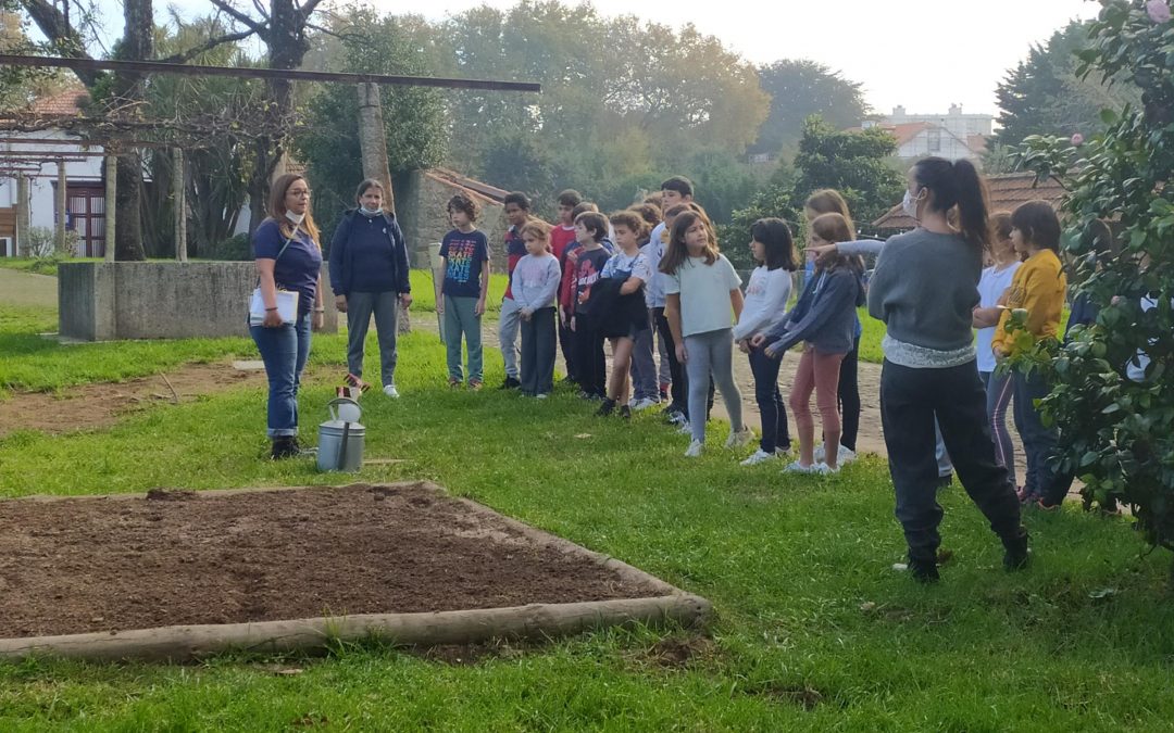 Horta de Pedagógica: Agricultores de volta ao Parque da Cidade