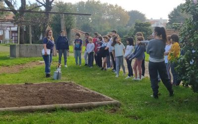 Horta de Pedagógica: Agricultores de volta ao Parque da Cidade