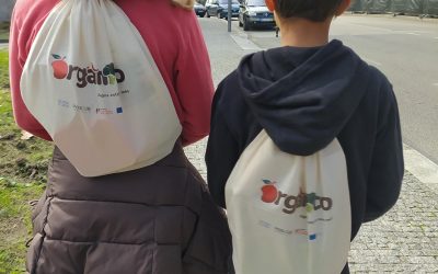 Compostagem: Da sala de aula para a horta
