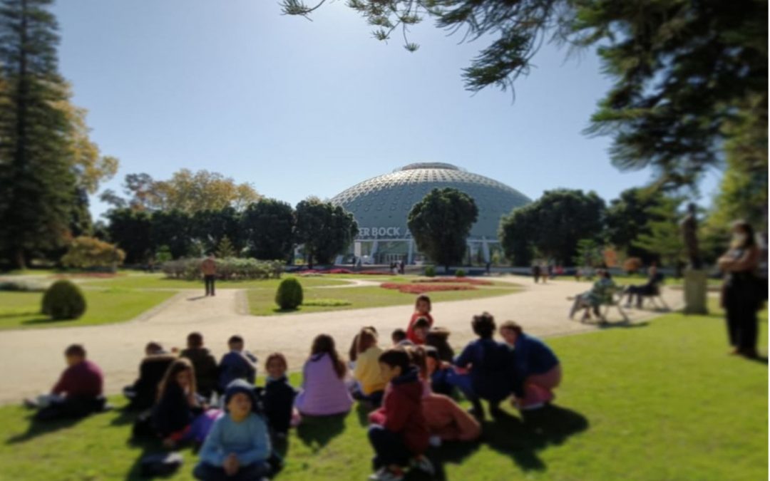 2ºAno conhece a BMAG