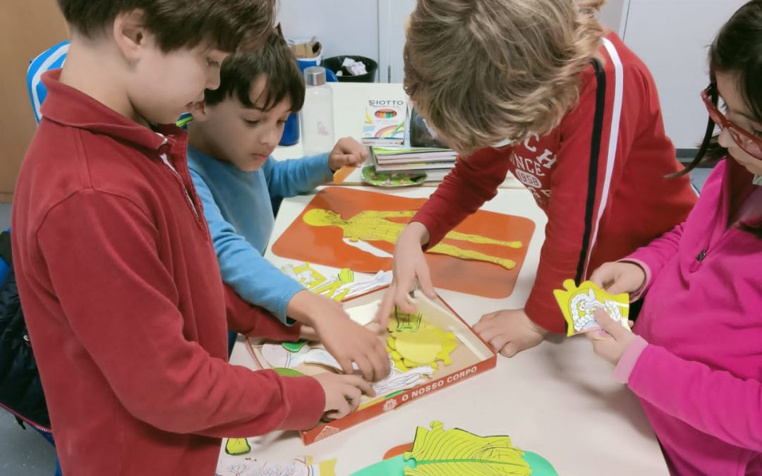 3ºA: Os sistemas do corpo humano