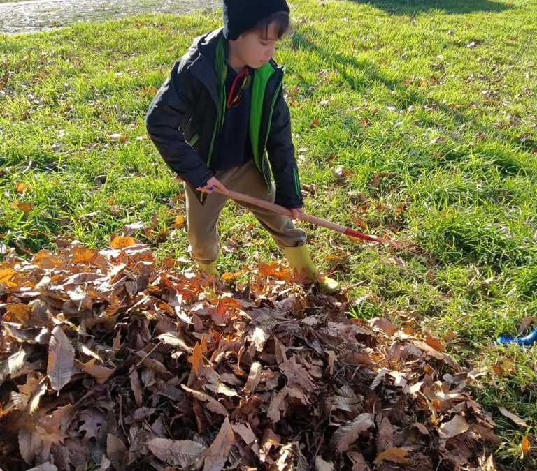 Na Horta: 3ºA transplanta milho e semeia favas