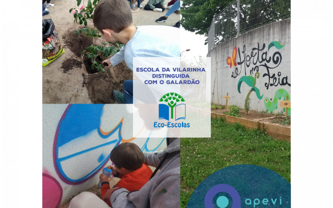 Eco-Escolas: Galardão atribuído à Vilarinha