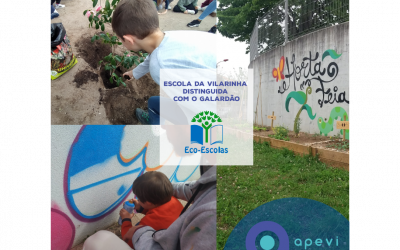 Eco-Escolas: Galardão atribuído à Vilarinha