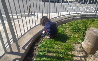 Brigada da Limpeza entrou em ação…