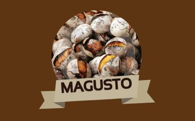 Data do Magusto da Vilarinha 2017