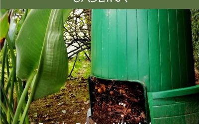 Workshop de Compostagem adiado